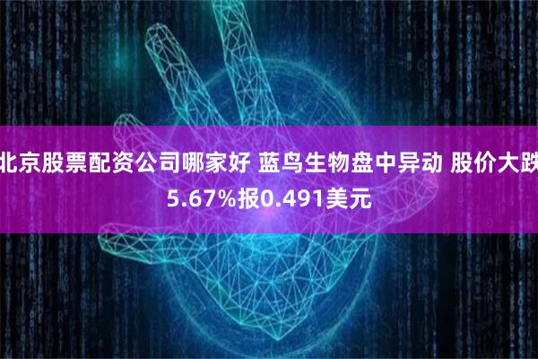 北京股票配资公司哪家好 蓝鸟生物盘中异动 股价大跌5.67%报0.491美元